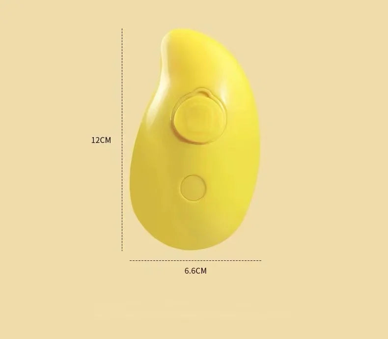 3-in-1 Pet Steam Hair Brush